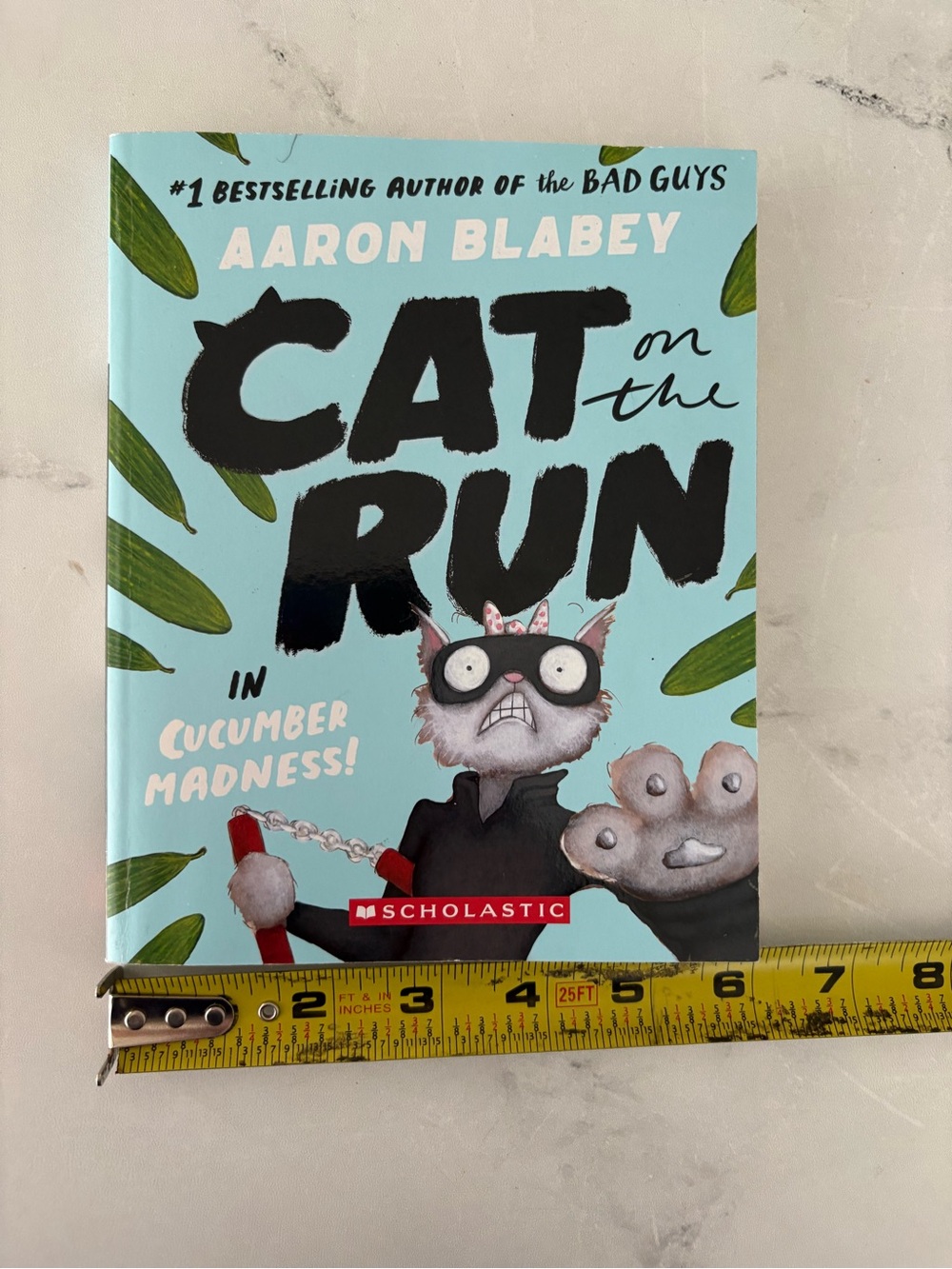 Cat on the Run in Cucumber Madness! (Cat on the Run #2) by Aaron Blabey